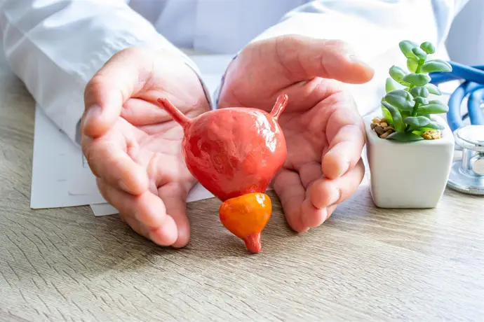 Cáncer de vejiga