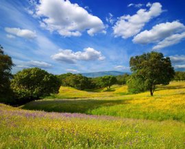 Foto: JUNTA DE EXTREMADURA