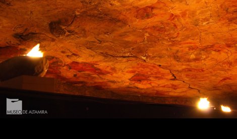 notibrasil sociedade