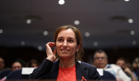 notibrasil sociedade