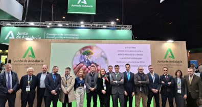 Es Andalucía - Sevilla