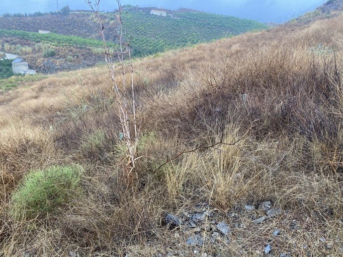 Turismo Costa del Sol reafirma su compromiso con la sostenibilidad en el 31 Festival de Cine Francés de Málaga a través del proyecto Huella Zero