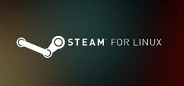 Archivo - Arquivo - Steam para Linux