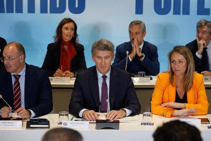 Archivo - El presidente del Partido Popular, Alberto Núñez Feijóo, preside el Comité Ejecutivo Nacional del partido, en la sede nacional del PP, a 3 de noviembre de 2025, en Madrid (España). 