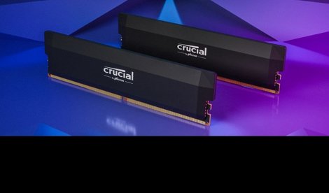 notibrasil sociedade