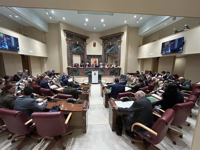El Pleno de la Asamblea Regional