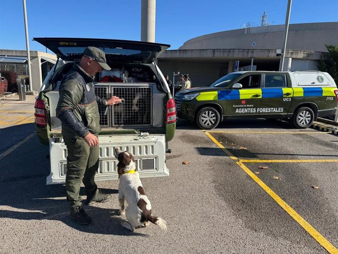 Agentes Forestales de la Comunidad de Madrid junto a un perro de la unidad canina