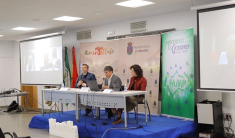 Federación Andaluza de Municipios y Provincias