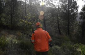 Foto: Rosa Veiga - Europa Press - Archivo