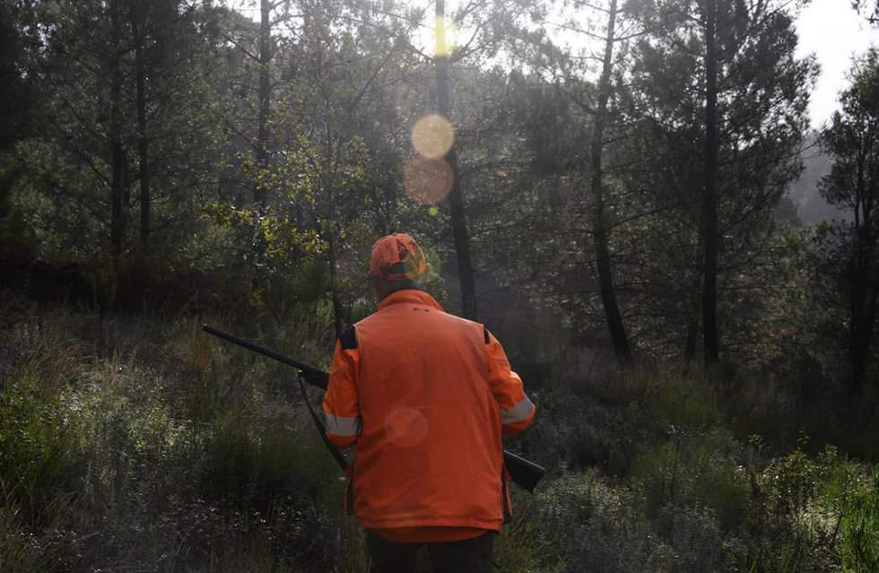 Archivo - Un hombre caza en los montes de Cameixa, a 12 de octubre de 2024, en Boborás, Orense, Galicia (España). Hoy entra en vigor la caza sin límite de jabalíes en 260 municipios gallegos, medida de emergencia cinegética de la Xunta que durará hasta 
