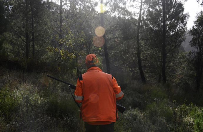 Archivo - Arquivo - Un home caza nos montes de Cameixa, a 12 de outubro de 2024, en Boborás, Ourense, Galicia (España). Hoxe entra en vigor a caza sen límite de jabalíes en 260 municipios galegos, medida de emerxencia cinexética da Xunta que durará até o