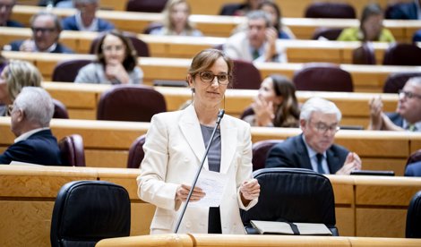 notibrasil sociedade