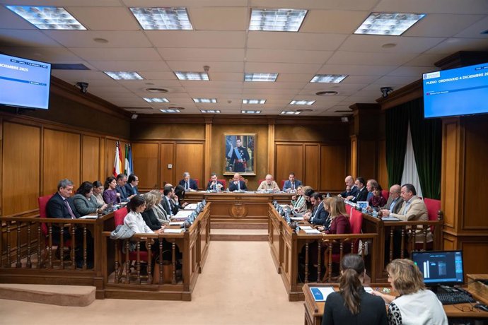 Pleno de la Diputación de Almería.