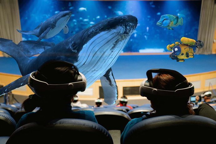 Balenes i altres espècies marines en l'experiència Immersió de l'Oceanogràfic