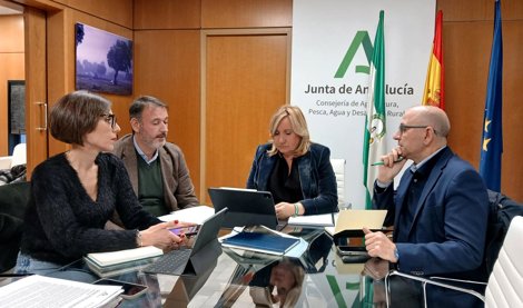 Es Andalucía - Sevilla