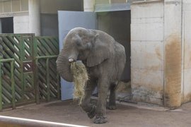 Foto: GOBIERNO - Archivo