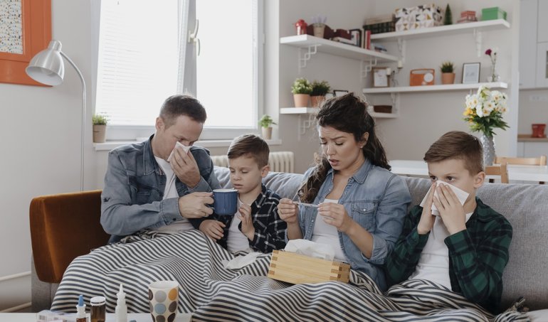 notibrasil sociedade