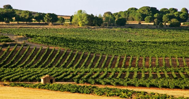 EpAgro - Unión Europea