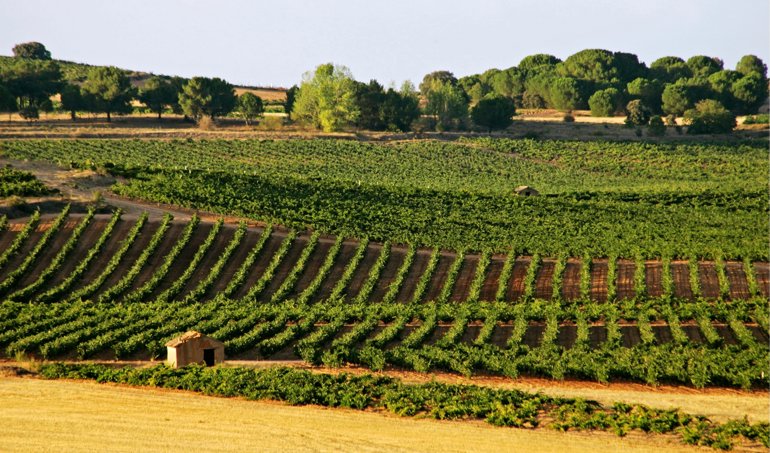 EpAgro - Unión Europea