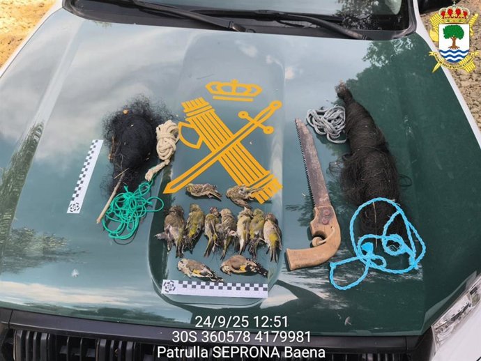 Aves y útiles intervenidos por la Guardia Civil.