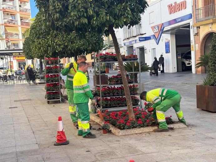 Colocación de flores en Alcalá de Guadaíra (Sevilla) por las navidades.