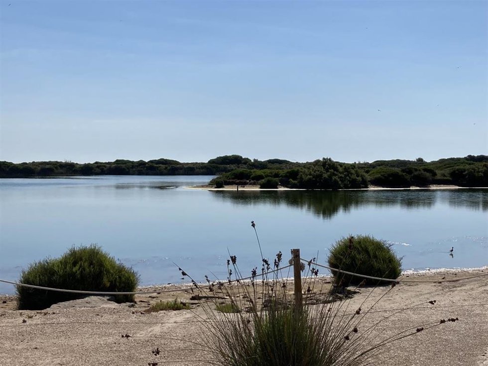 Archivo - Albufera 