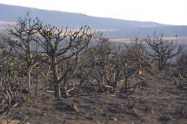 Foto: Europa Press/Contacto/Arturo Rosas / Vwpics