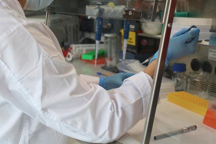 Archivo - Investigador de la red pública de Andalucía.