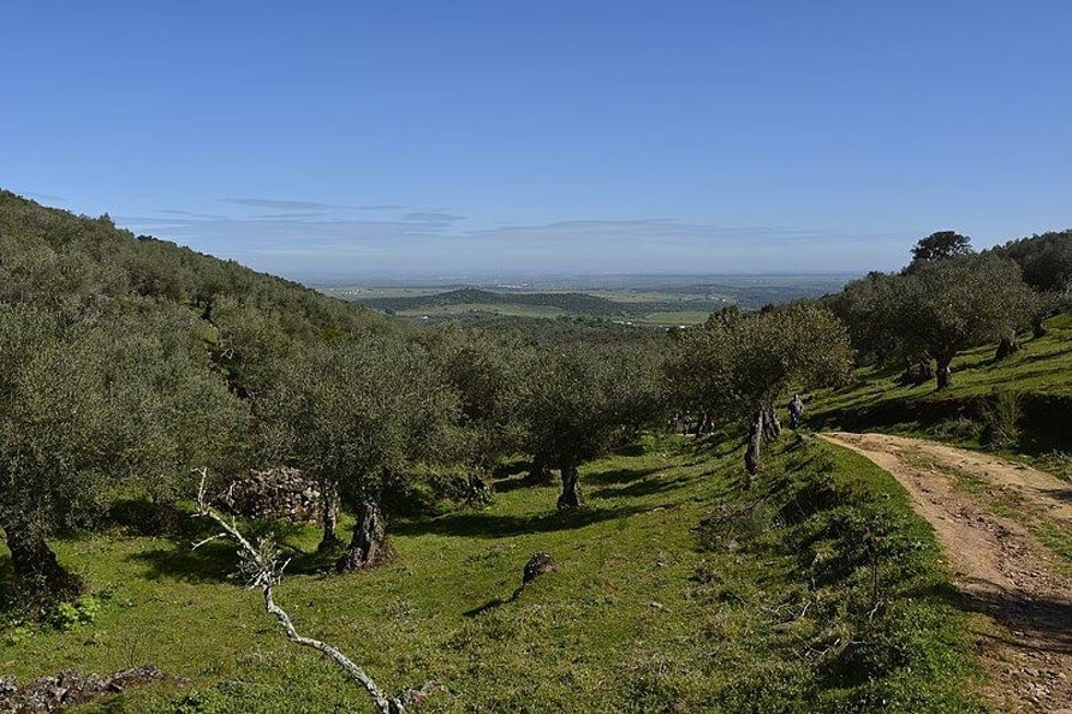 Un sendero rural.