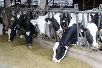 Cantabria destinará 810.000 euros en ayudas para el control lechero en asociaciones de criadores y entidades