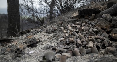 EpAgro - Agricultura