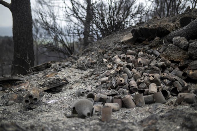 Archivo - Zona afectada por el incendio de Xerta (Tarragona) el verano pasado.