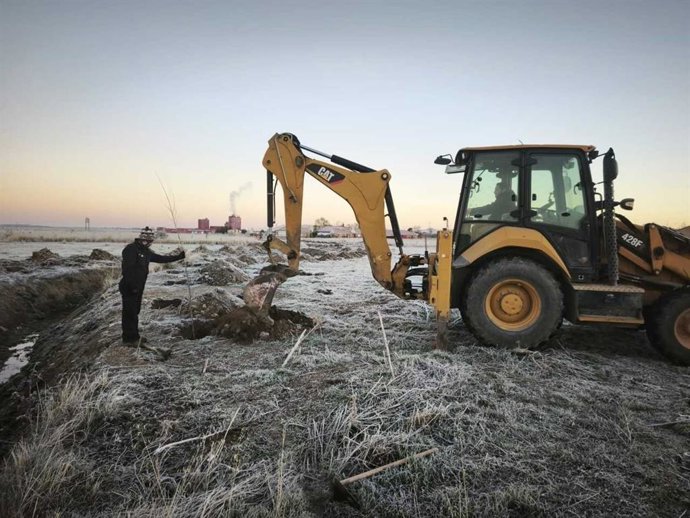 Plantación de árboles en Sanchidrián (Ávila).