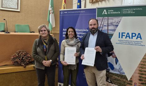 Es Andalucía - Córdoba