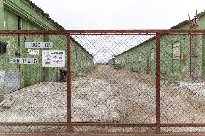 Granja de cerdos en Ivars d'Urgell, a 30 de noviembre de 2025, en Ivars d'Urgell, Lleida, Catalunya (España).