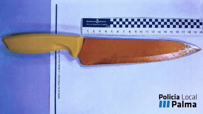 Cuchillo con el que el detenido amenazó a los clientes de un local de Palma.