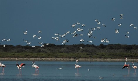Es  Andalucía - Almería