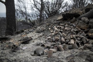 Archivo - Zona afectada per l'incendi de Xerta (Tarragona) l'estiu passat