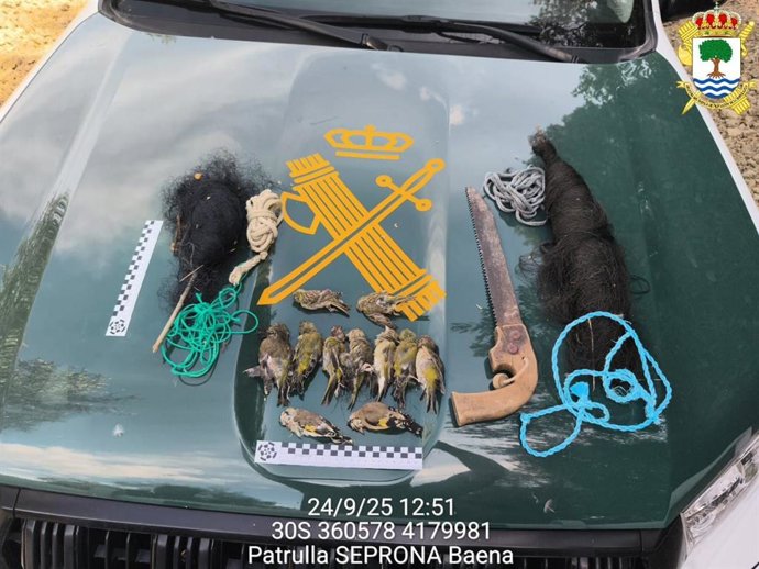 Aves, redes invisibles tipo 'japonesas' de grandes dimensiones y otros útiles de caza ilegales intervenidos.