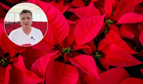 notibrasil sociedade