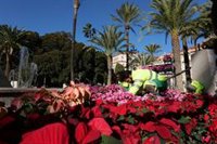 Cartagena luce esta Navidad con 30.000 plantas y decoración sostenible