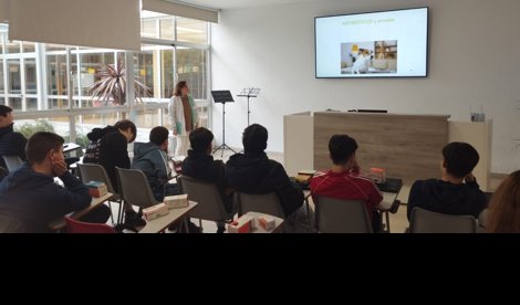 notibrasil sociedade