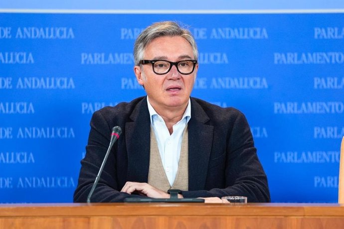 El portavoz de Vox en el Parlamento andaluz, Manuel Gavira