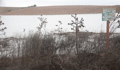 Es Andalucía - Sevilla