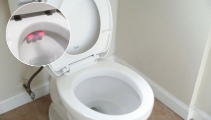 Ni en el lateral ni donde siempre las pones: la forma correcta de colocar las pastillas del inodoro