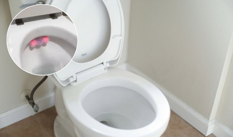 notibrasil sociedade