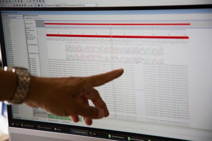 Archivo - Una investigadora trabaja con el ordenador en un laboratorio.