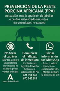 Andalucía declara la "emergencia cinegética temporal" para reforzar las medidas de prevención frente a la peste porcina