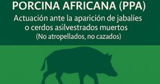 Es Andalucía - Sevilla