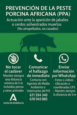 La Junta de Andalucía refuerza medidas de prevención frente a la peste porcina.